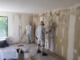 Mold Remediation for Rental Properties in Chattahoochee, FL